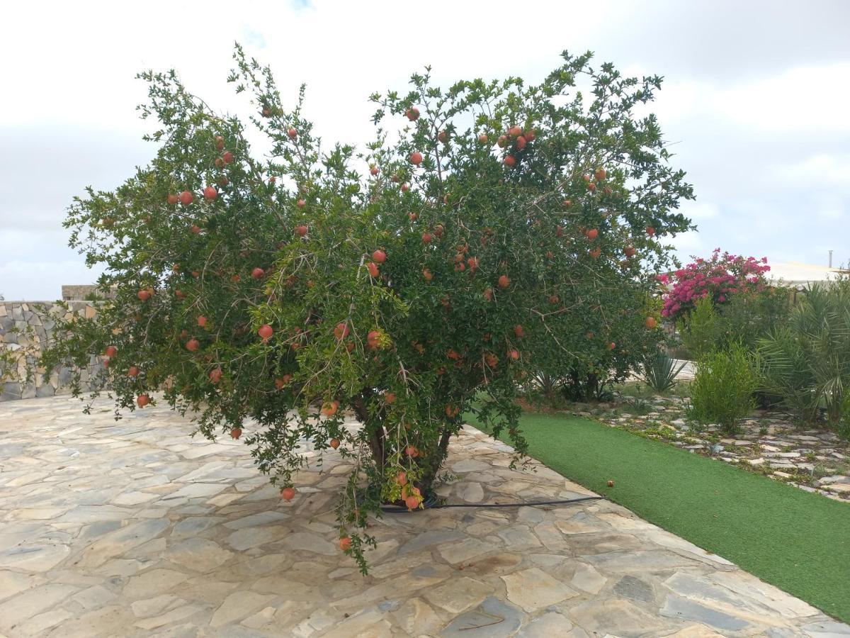 Jebel Shams Resort منتجع جبل شمس Dar Sawda Екстер'єр фото